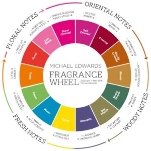 معرفی گروه های بویایی در عطر و ادکلن