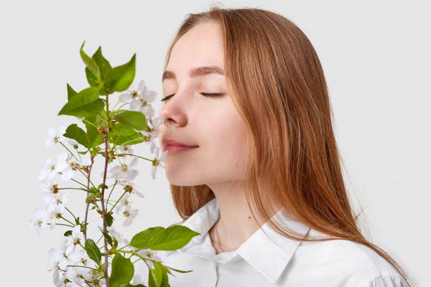 معرفی گروه بویایی گلی